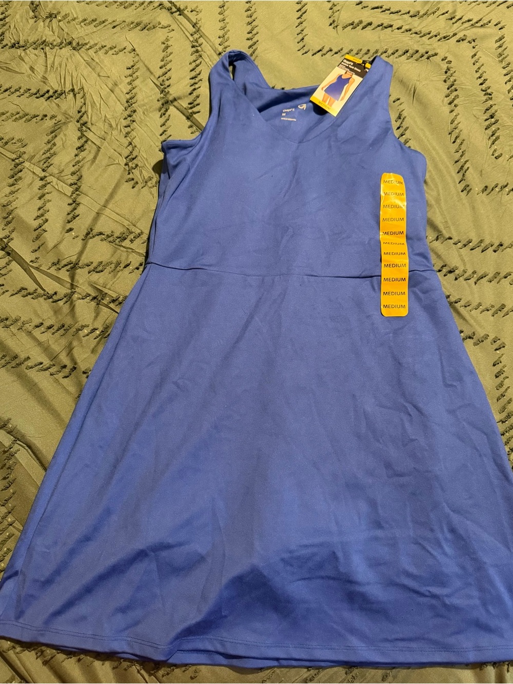 GAP Women’s Blue Sleeveless A-Line Dress